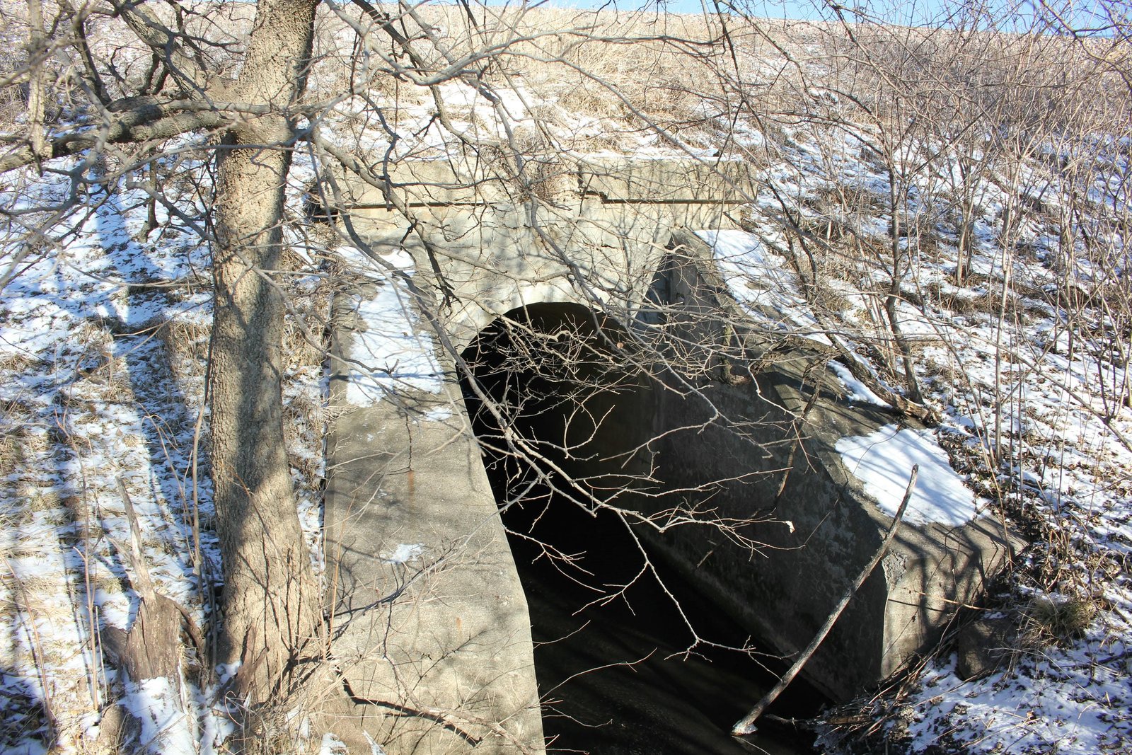 Overview
